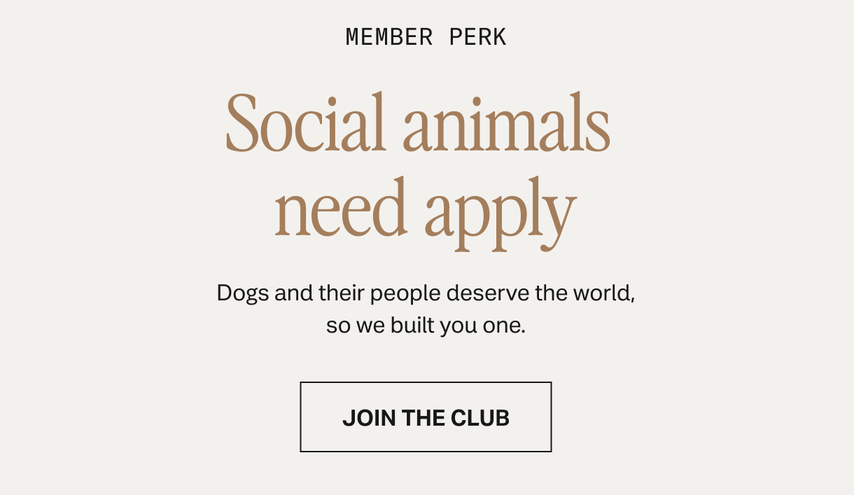 Become A Member