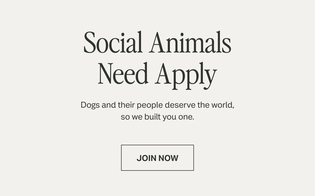 Join Now